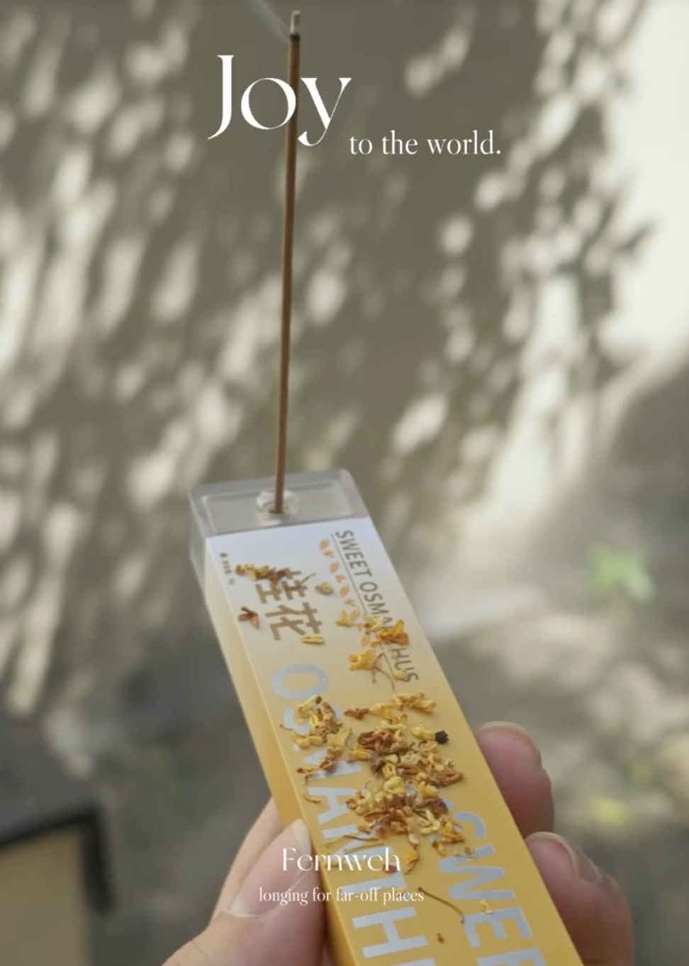 Osmanthus Flowers Incense Sticks for a Warm Feeling (China Edition)